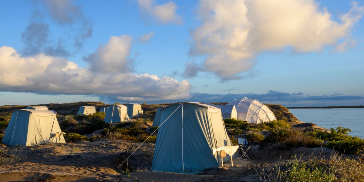 Private whale camp in Magdalena Bay, Baja.