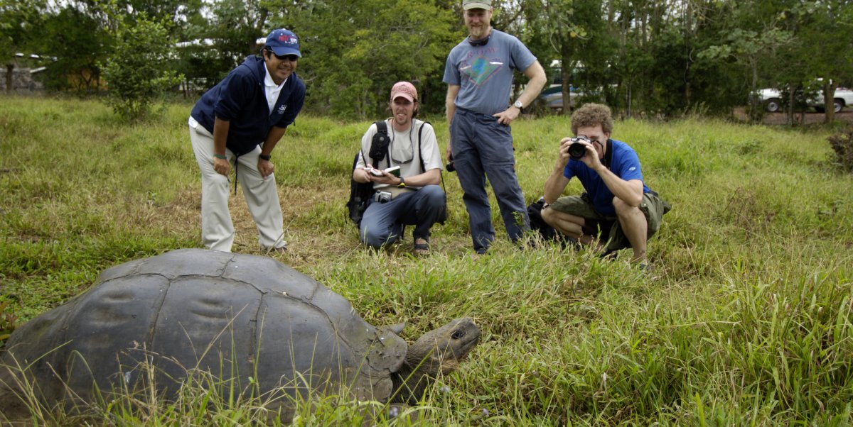 Group of tourists admiring and photographing a giant land tortoise in the grass 