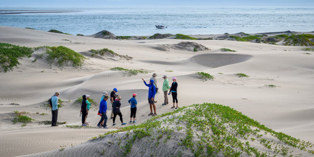 A group exploring the sand dunes in Baja