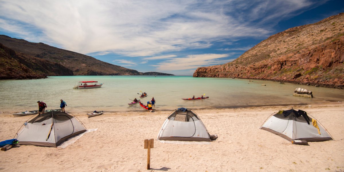 tents set up on the beach for camp