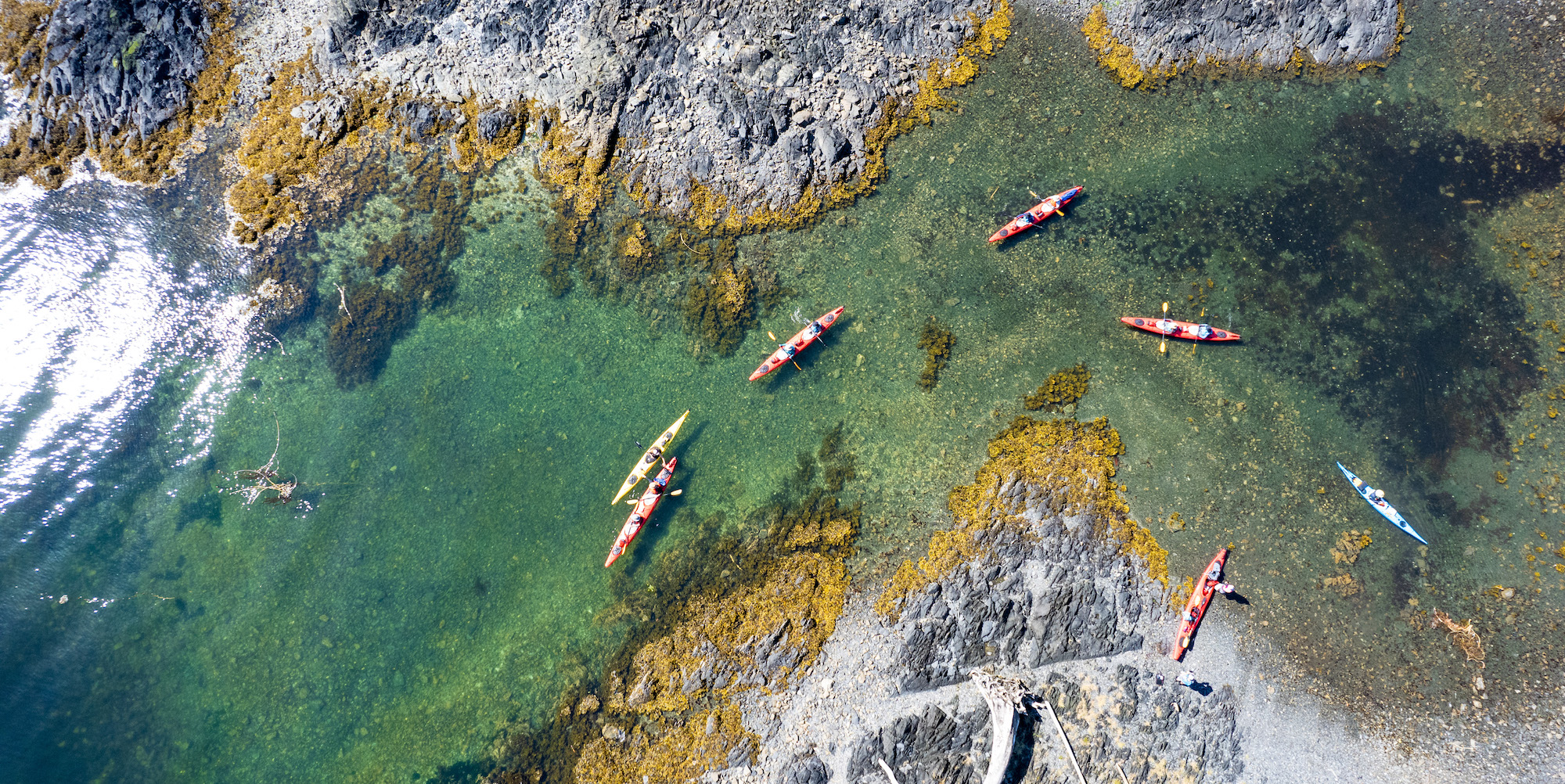 Birds eye view of people sea kayaking through a channel in British Columbia