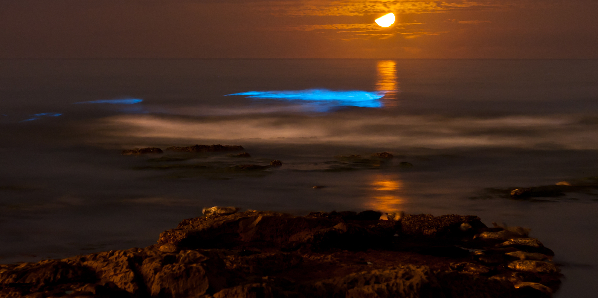 Bioluminescence seen at night in the ocean off of Hurst Island