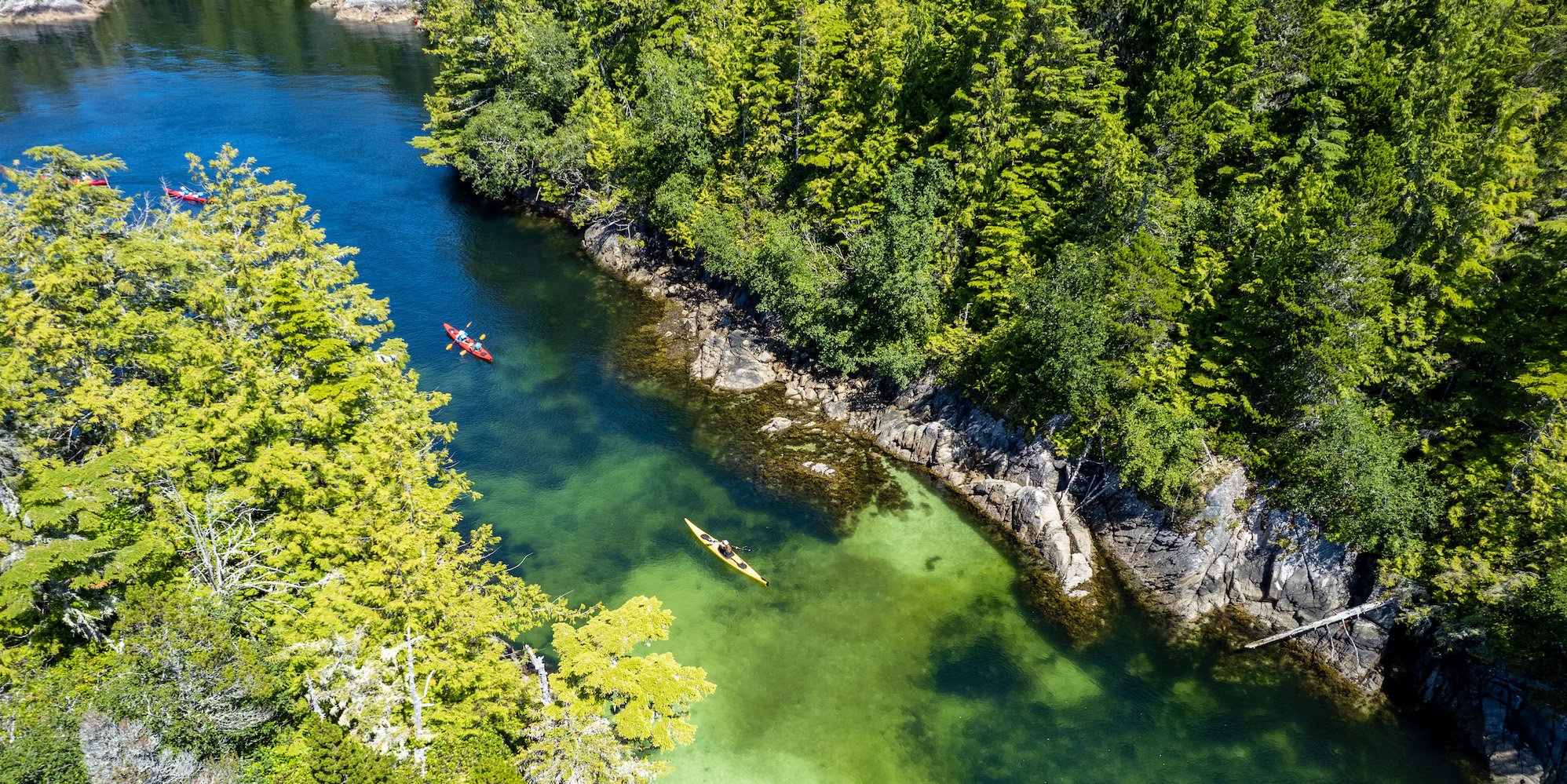 Aerial image of two sea kayakers paddling through a channel of the Johnstone Strait in British Columbia