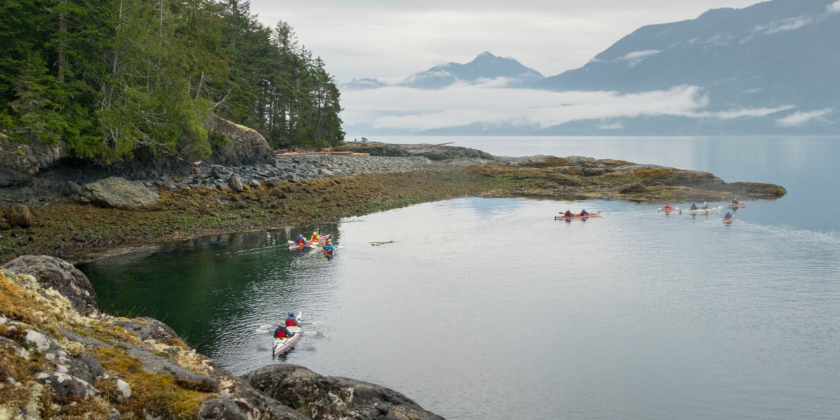 sea kayakers along coastline in johnstone strait