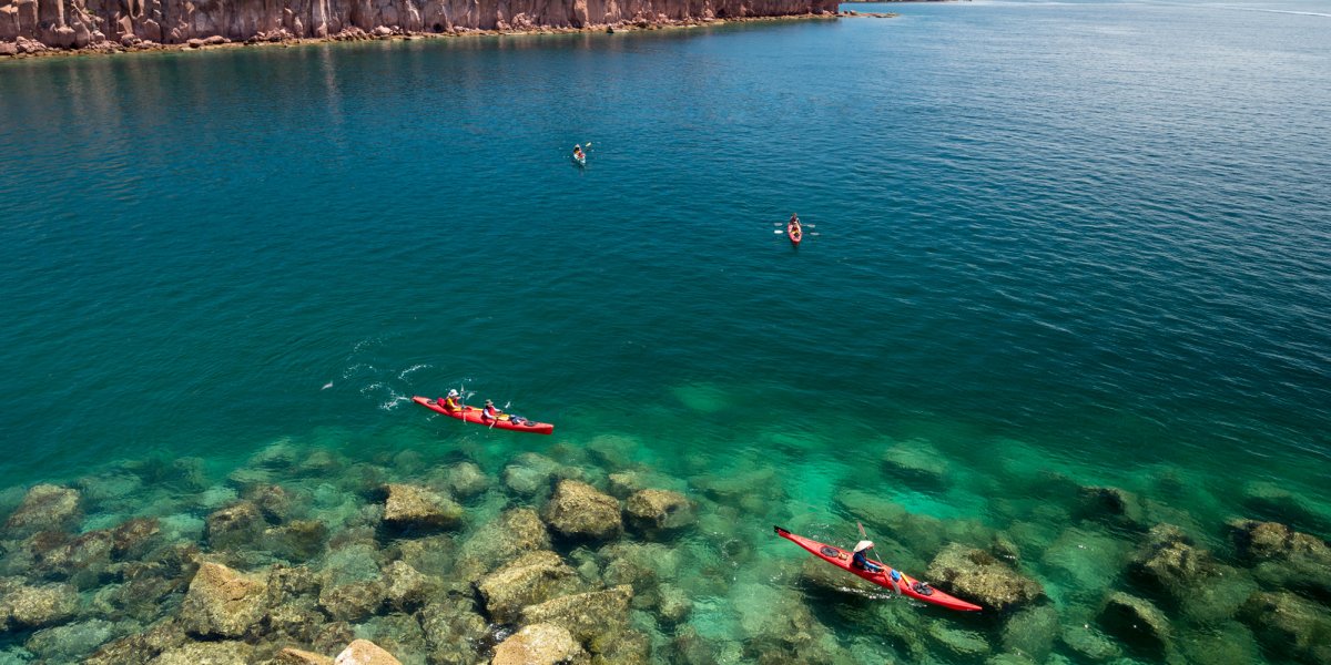 aerial view of kayakers