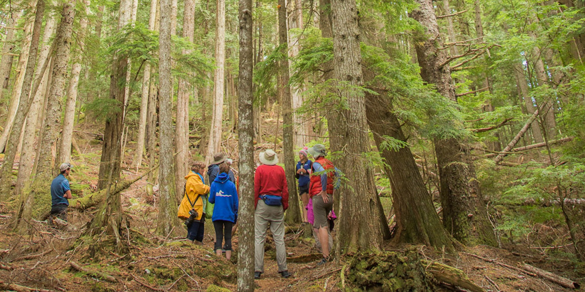 A group of hikers standing on a trail outside of Port Hardy, British Columbia.