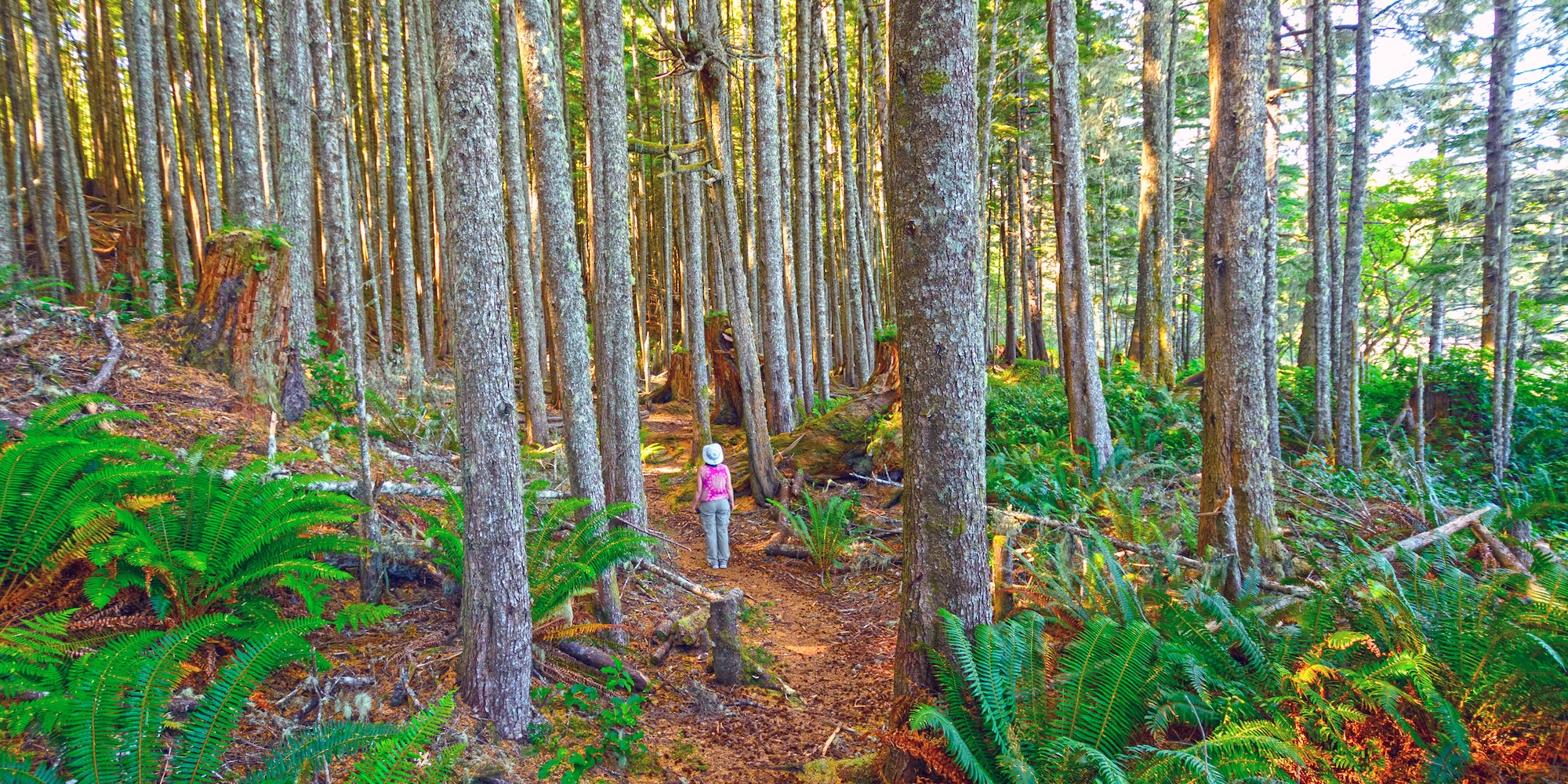 A woman standing on the Trex Lyon hiking trail near Port Hardy, British Columbia.