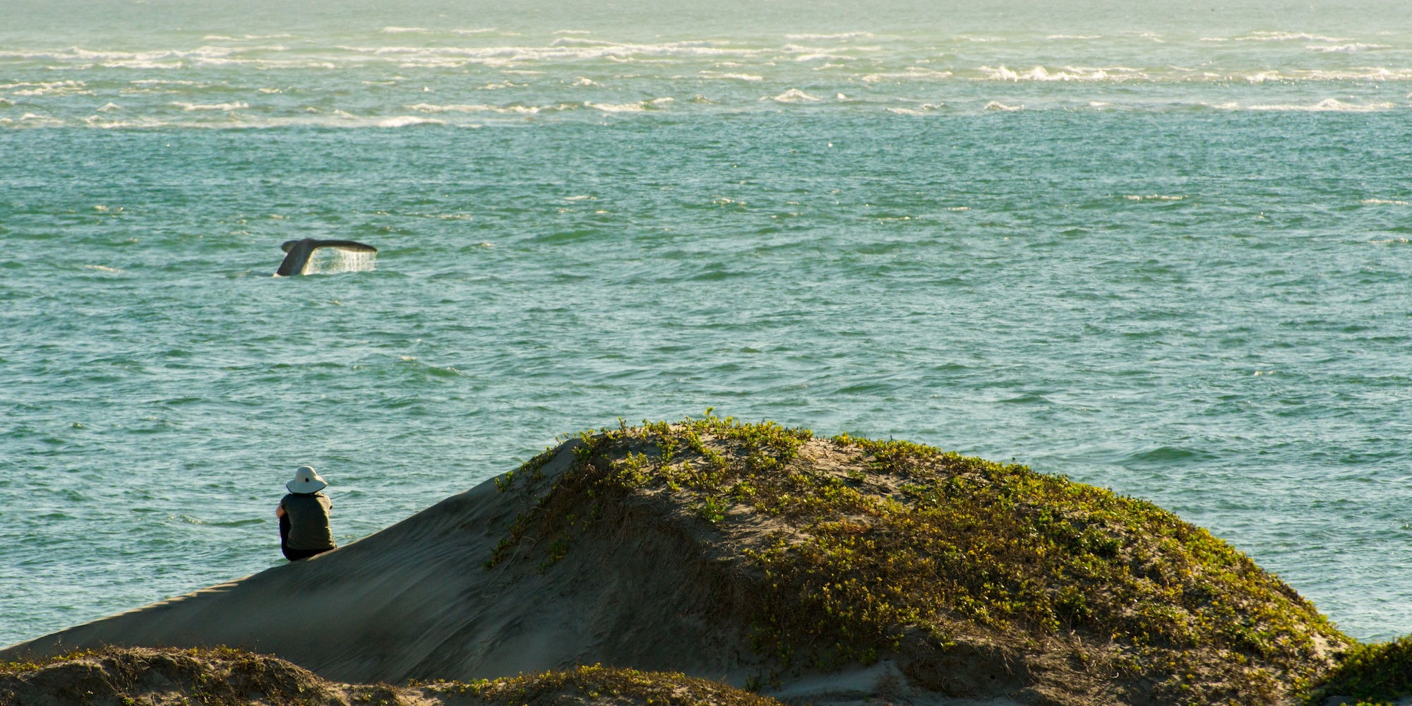 A woman sitting on a sand dune in Magdalena Bay watching a gray whale swim in the Pacific Ocean.