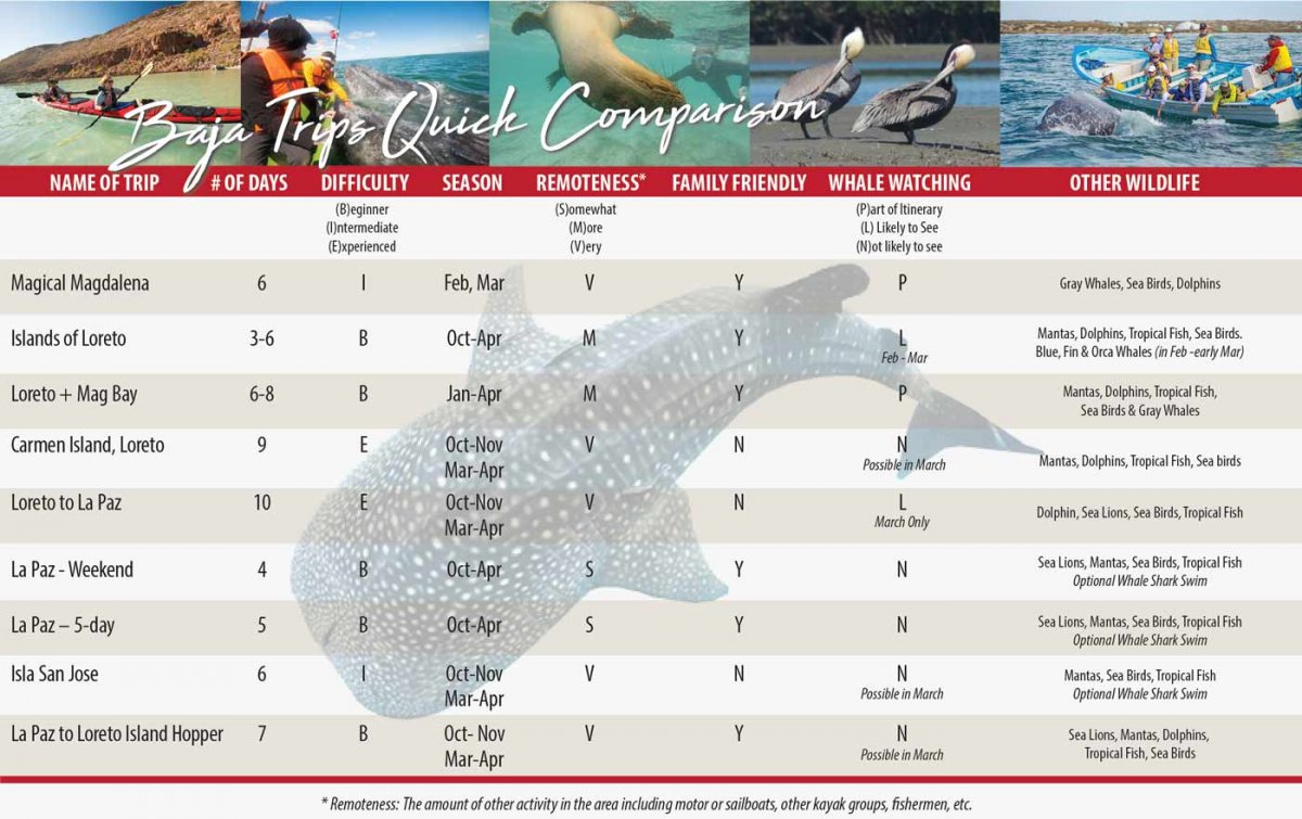 Baja Sea Kayak Trip Chart