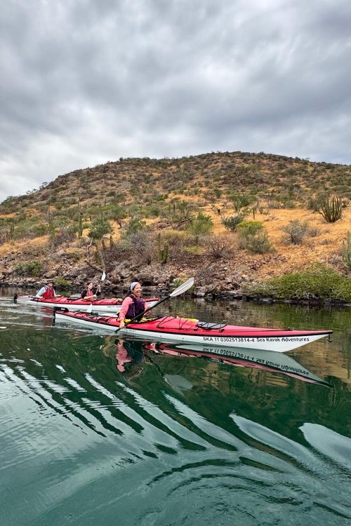 Sea kayakers paddling through calm water along a desert shoreline in Baja California Sur, with cactus-covered hills rising behind them under an overcast sky.