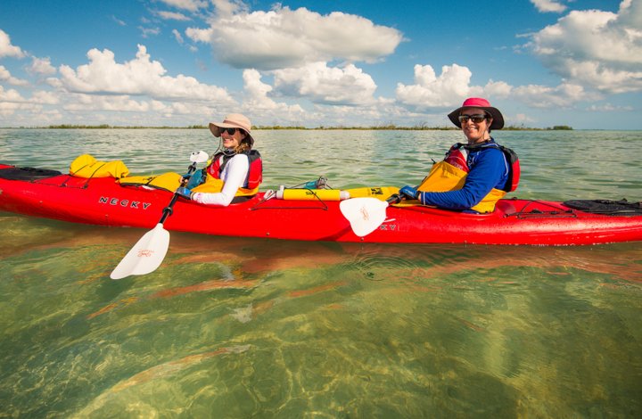 La Paz Sea Kayaking and Whale Watching Combo | Sea Kayak Adventures