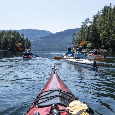 Sea Kayaking tours in Vancouver Island, British Columbia Canada
