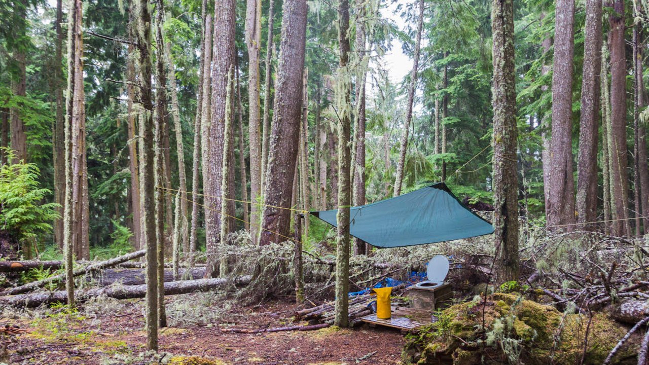 Pit toilet set up in a dense forest in British Columbia