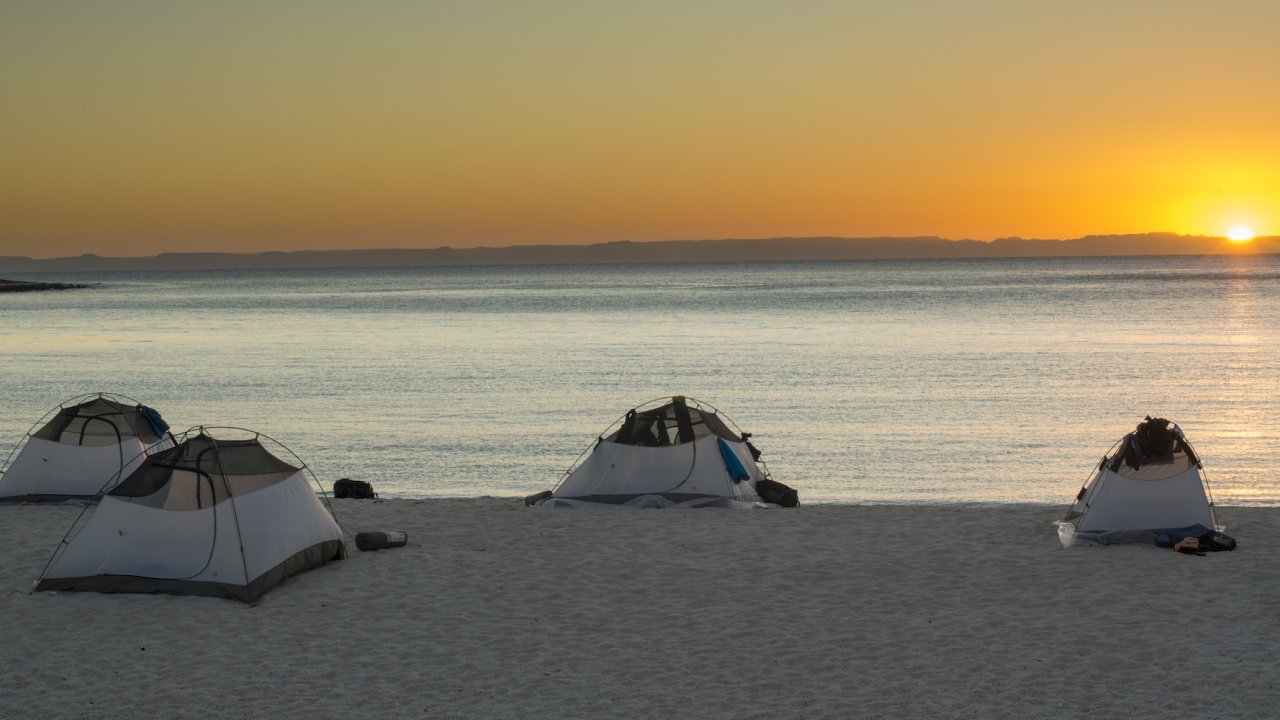 Tents set up sprawled on the beach at sunset in Baja California Sur