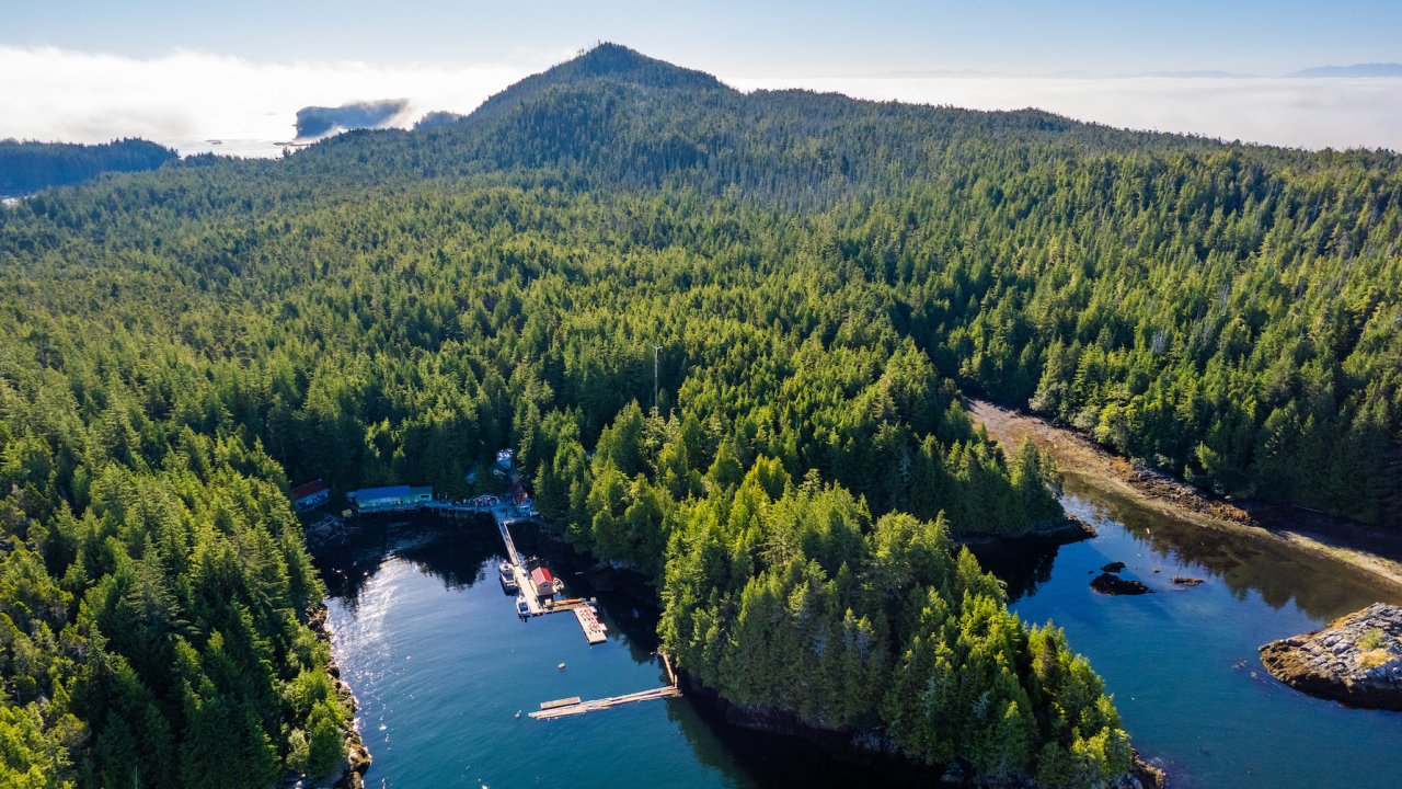 Birds eye view of Gods Pocket Resort in British Columbia