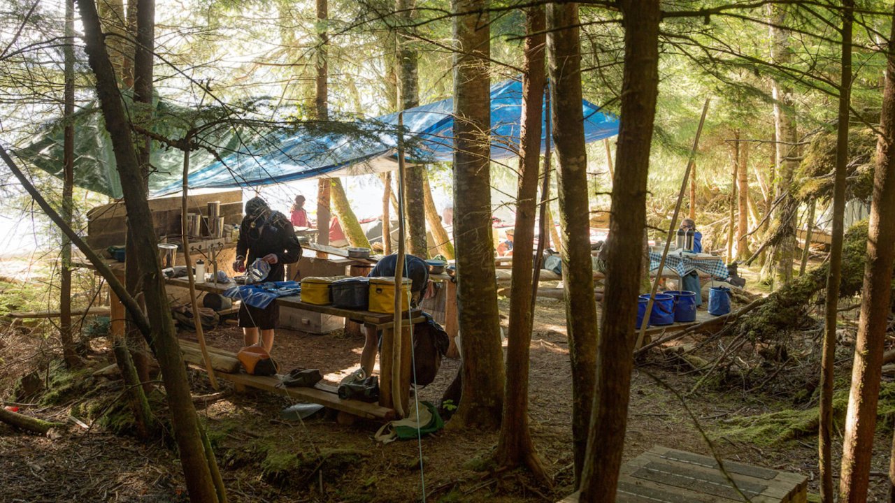 A camping kitchen set up on a wooden platform on a sunny morning in British Columbia
