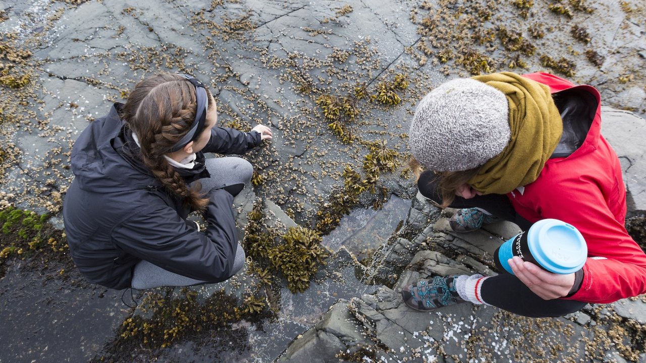 Two guests explore tide pools along a rocky shoreline during a coastal camping trip.