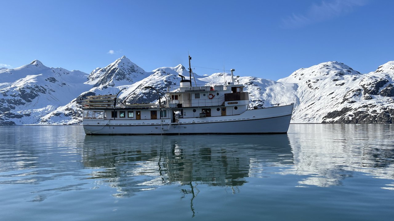 Sea Wolf boat from Sea Wolf Adventures in Glacier Bay on a sunny day in Alaska