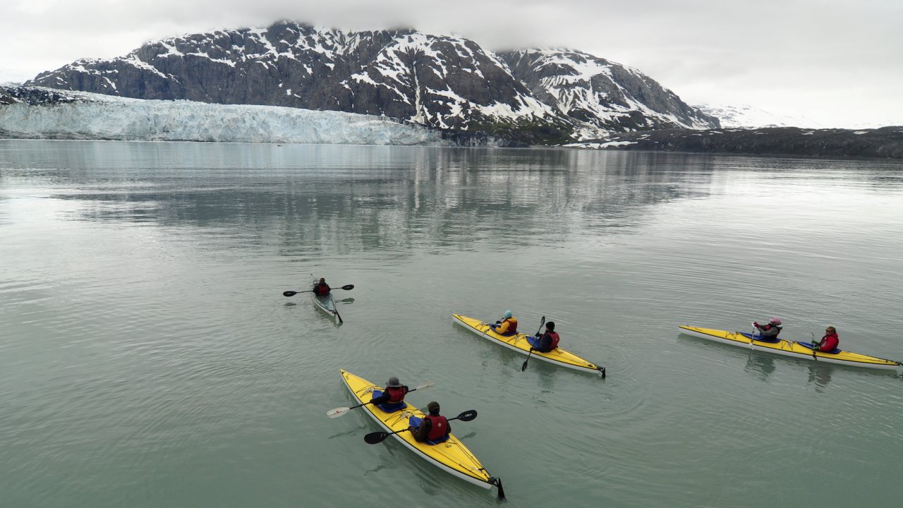 Yellow kayaks scattered across green water with glacial mountains in front of them