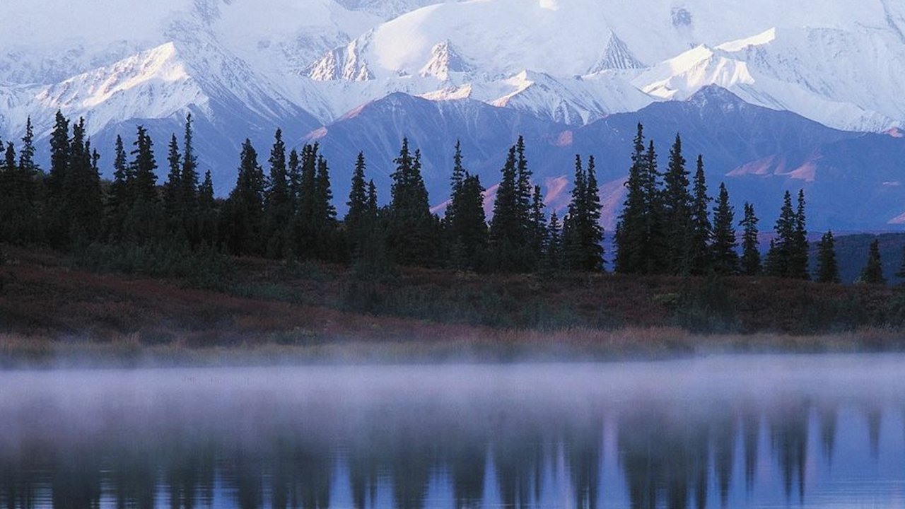 Snow capped Alaskan mountains that meet the sea where trees are reflected onto the water
