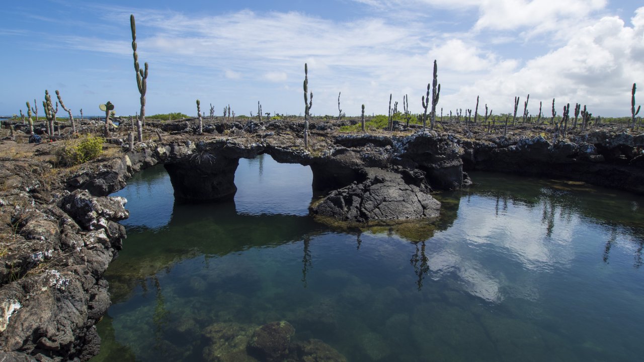 A famous lagoon with rock coves in the Galapagos Islands