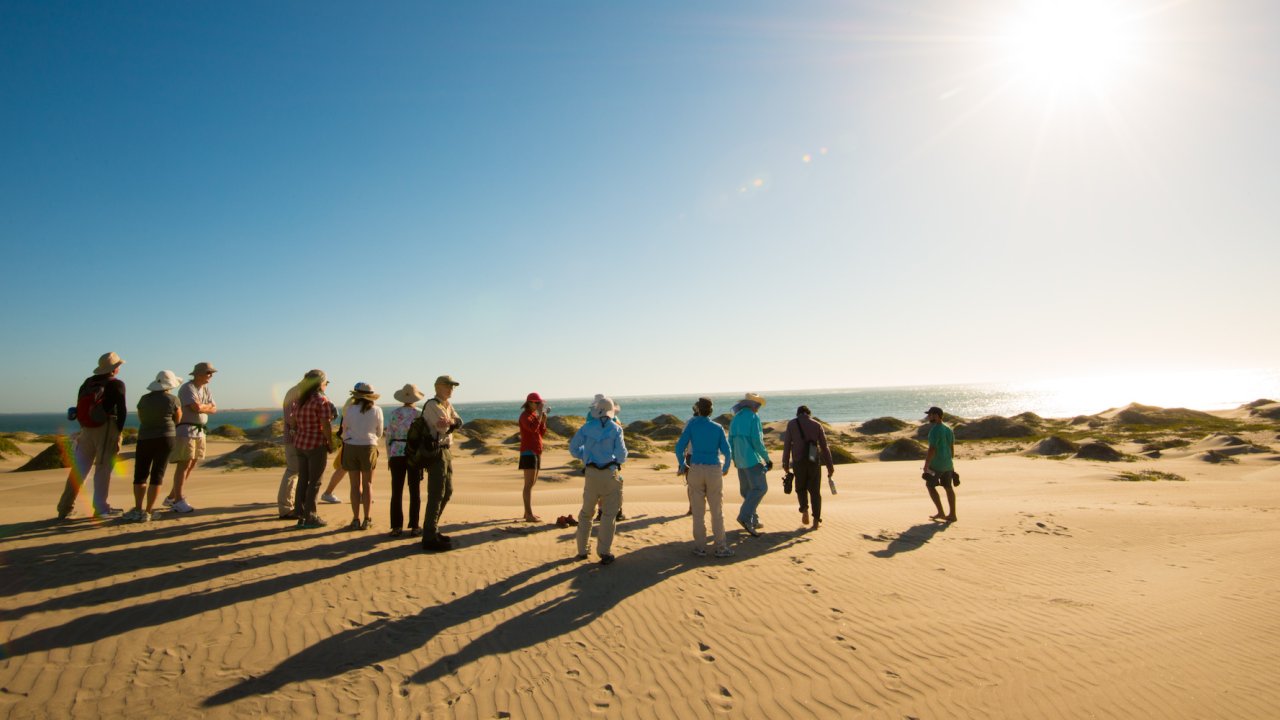 People standing around on a sand dune in the sunshine on a guided hike
