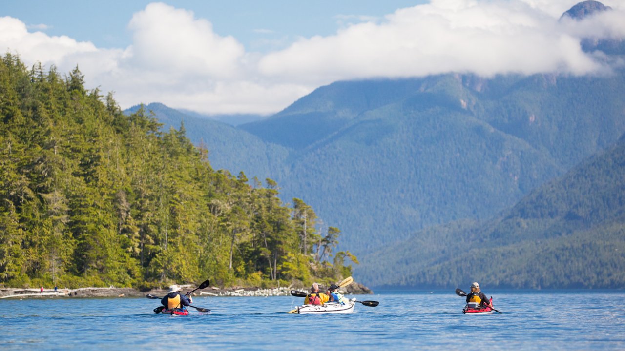 A group of people sea kayaking in the Johnstone Strait paddling towards forested mountains in British Columbia