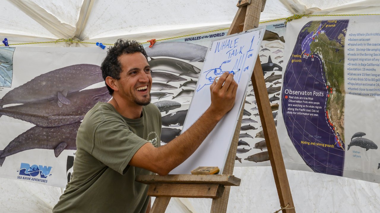 Sea Kayak Adventures guide teaching a group of travelers about gray whale migration pattern on a piece of paper