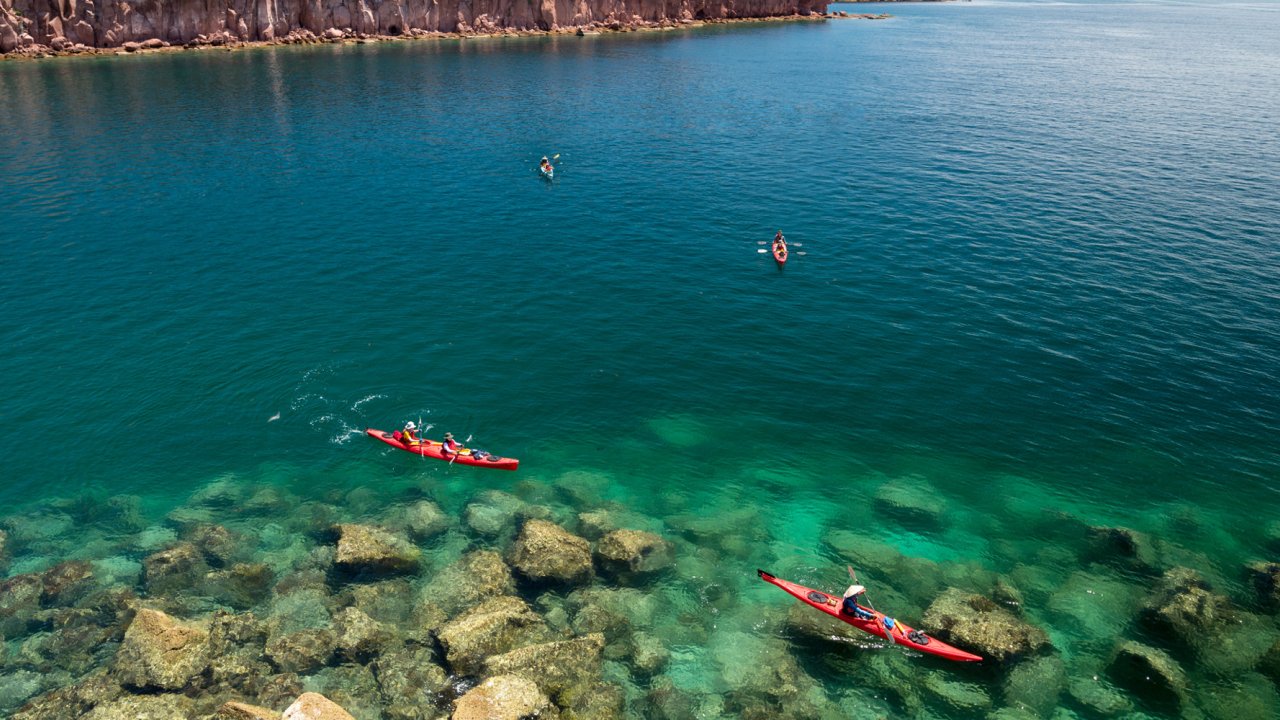 A group of sea kayakers on the turquoise waters of the Sea of Cortez on a sunny day