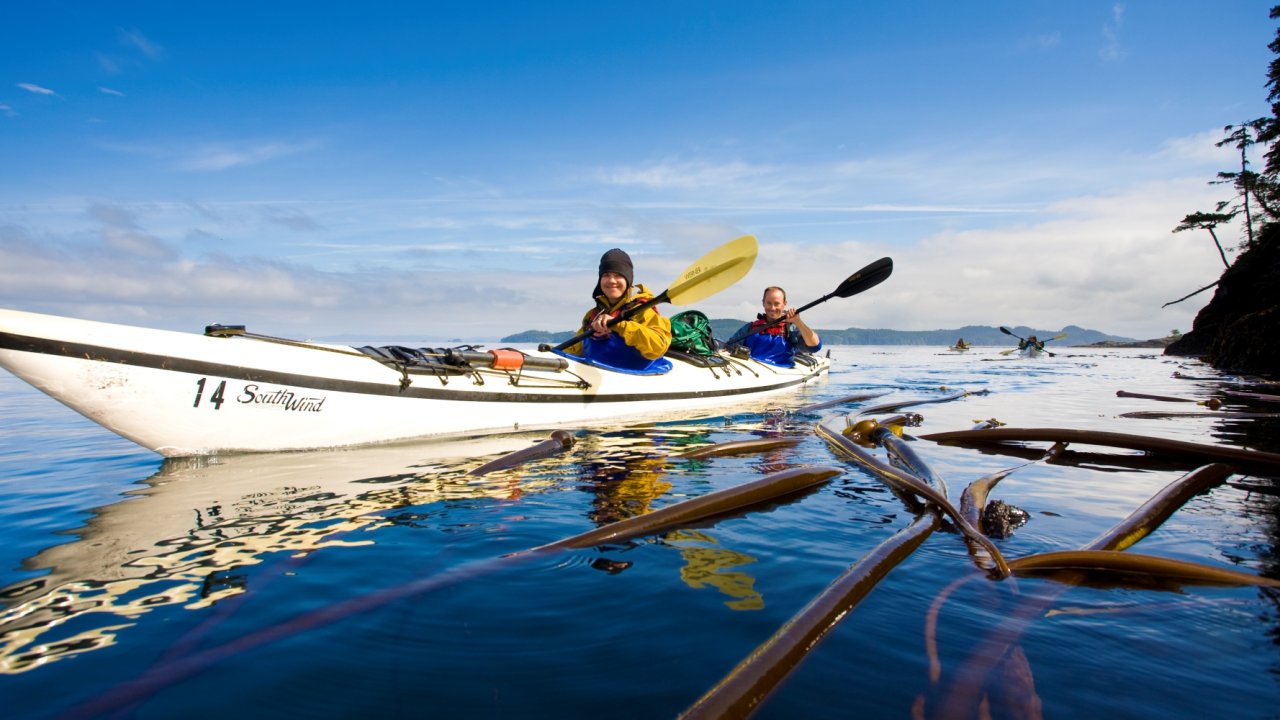 sea kayakers in the johnstone strait