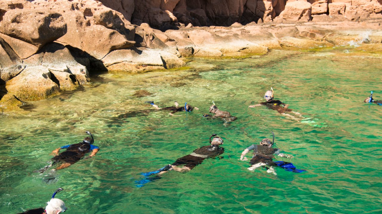 A group of people face down snorkeling in shallow waters on a sunny day in Baja California Sur