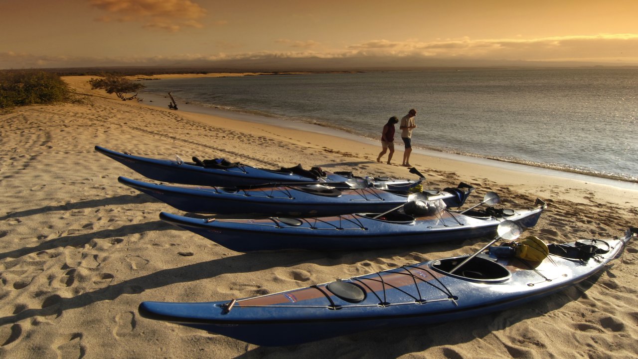 A row of blue sea kayaks along a beach in the Galapagos Islands at sunset