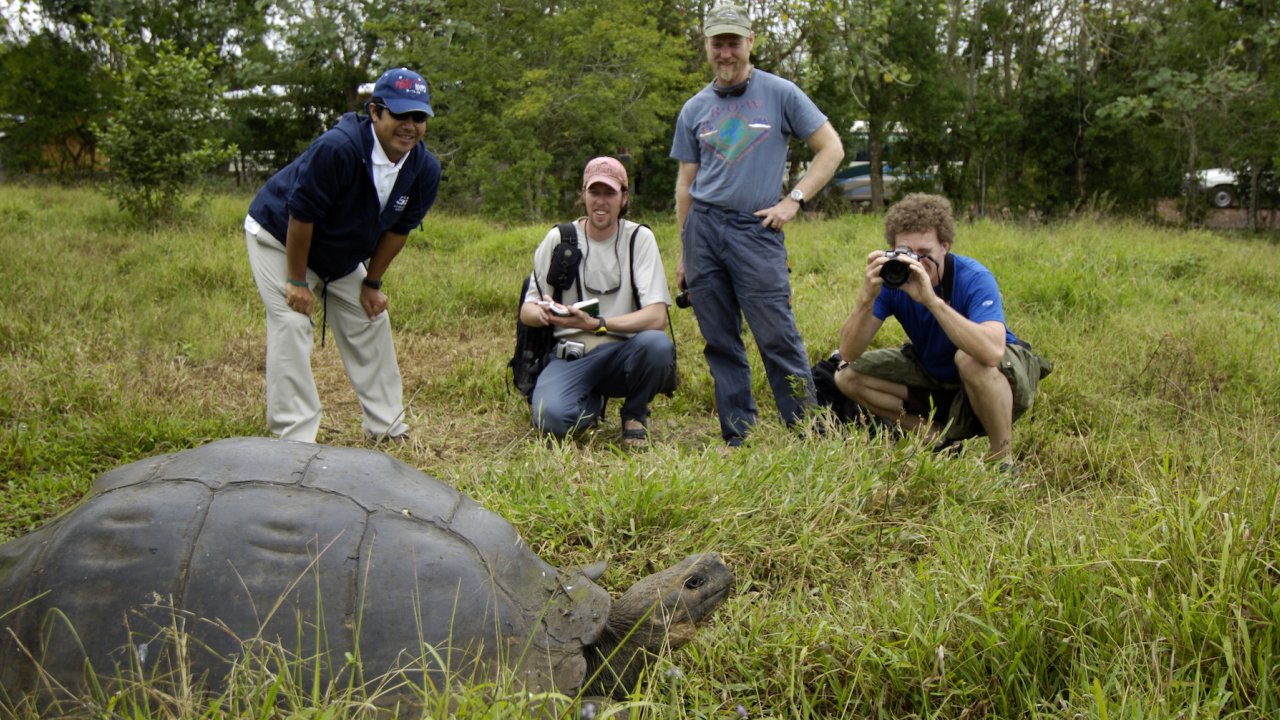 A group of tourists in the Galapagos on a wildlife tour observing a giant Galapagos Land Tortoise