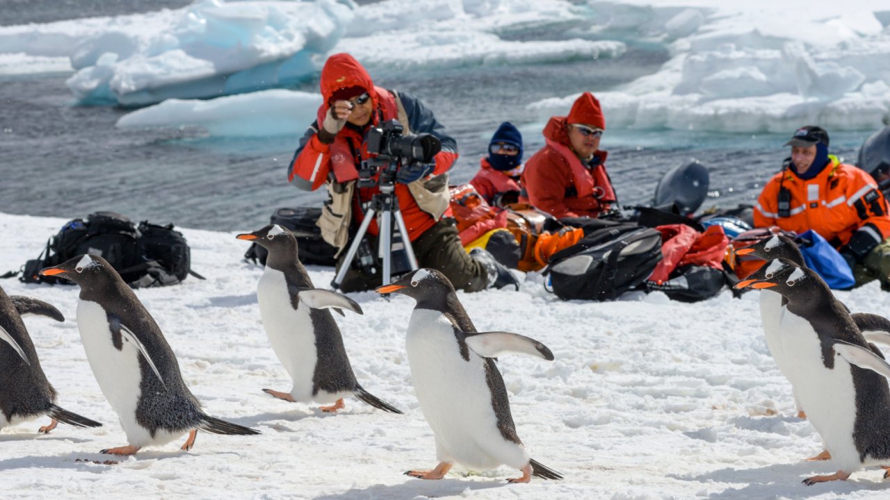 A group of tourists on a small raft taking pictures of seals and penguins on land in Antarctica