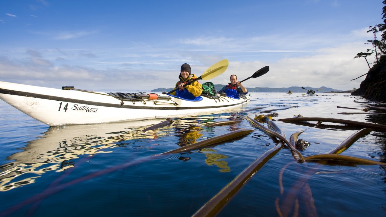 Two kayakers navigating through kelp forests on a bright day in British Columbia, an iconic scene from guided kayak tours Canada and kayaking Canada adventures.