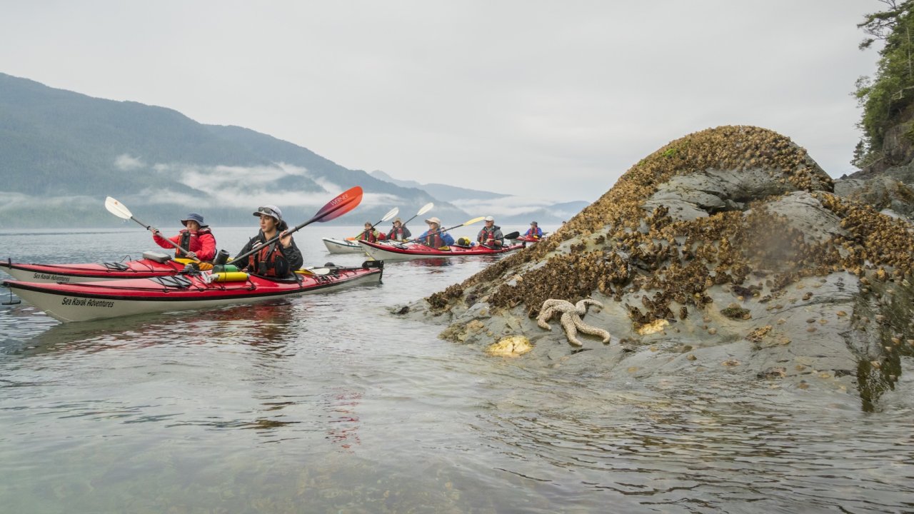 Guided group enjoying a Johnstone Strait kayaking adventure with misty mountains and rocky shoreline views in British Columbia.