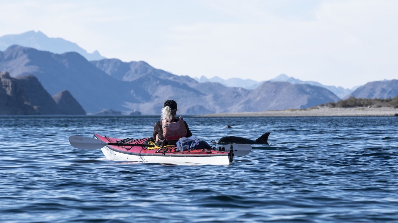 woman in sea kayak paddling outside of Loreto, Baja surrounded by a pod of dolphins