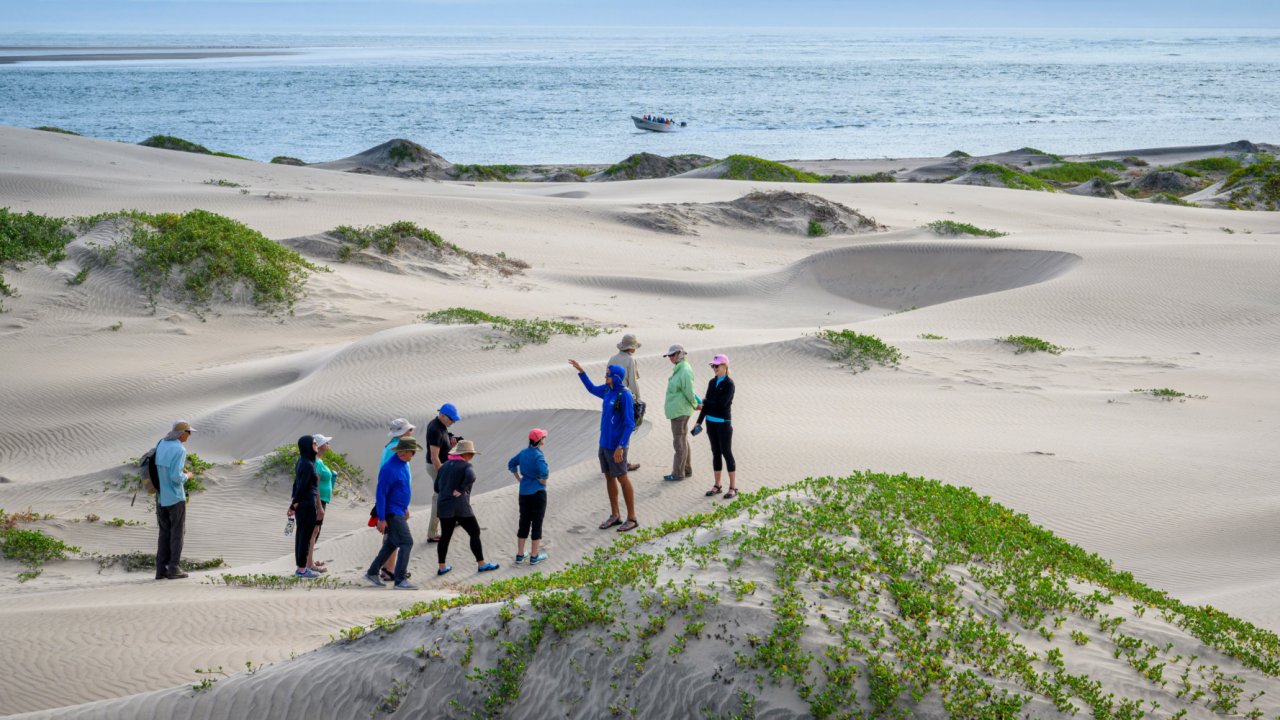 people hiking across baja sand dunes