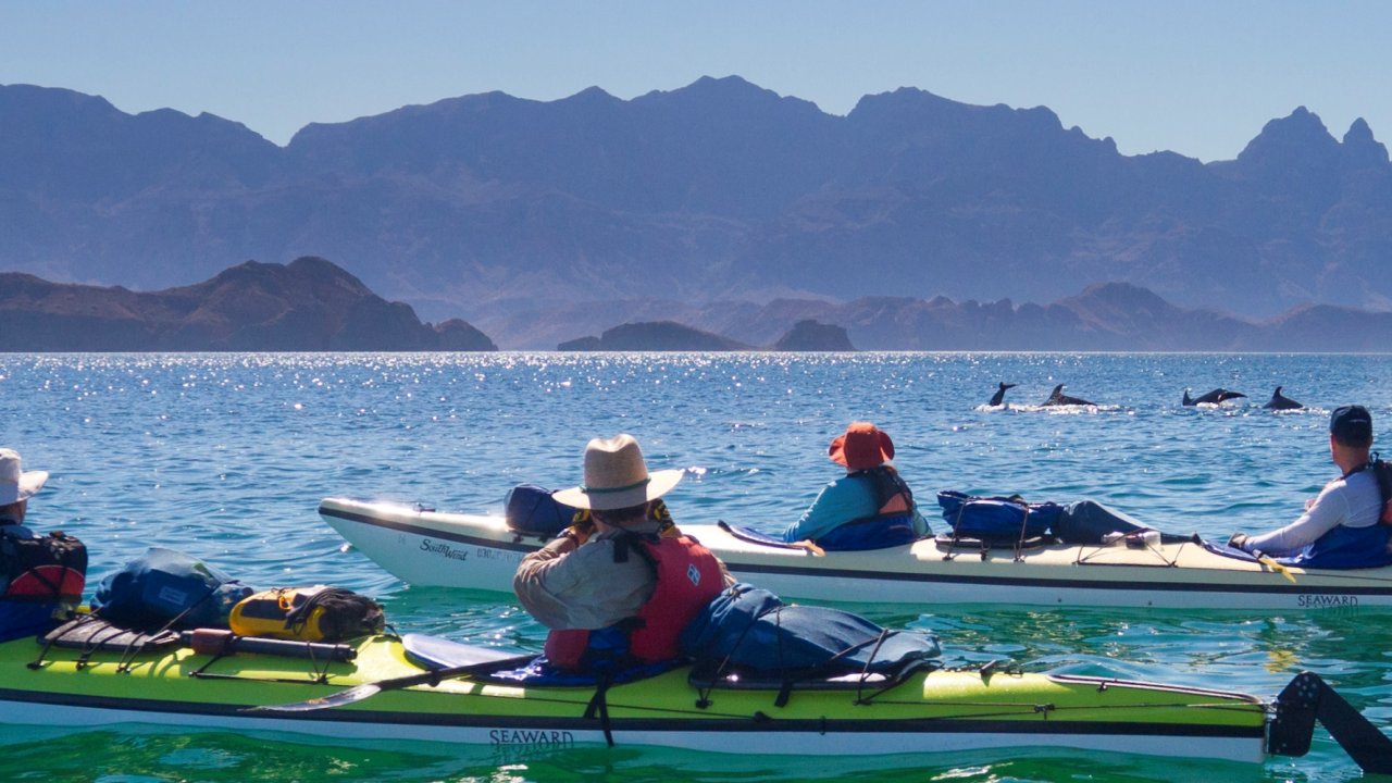 sea kayaks in the sea of cortez