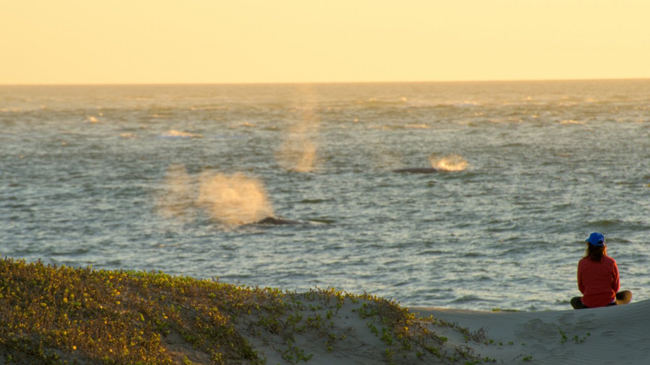 woman on sand dunes with whales in background