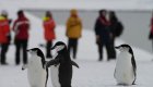 people and penguins in antarctica