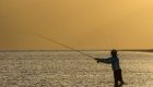 Man fly fishing in the Sea of Cortez in Baja California Sur