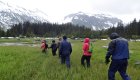 Hiking through a green grass field with Alaskan mountains in the background