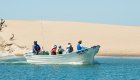 small boat with whale watchers in front of sand dune