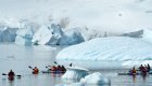 kayakers in antarctica