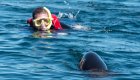Swimming with sea lions in La Paz