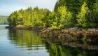 Sunlight illuminating the lush, rocky shoreline of British Columbia, a scenic view often admired on sea kayaking tours along Canada’s west coast.