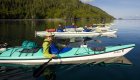 Kayakers exploring Telegraph Cove during a Johnstone Strait day kayaking tour in Canada.
