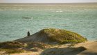A woman sitting on the beach in Magdalena Bay watching a gray whale surface in the ocean off of Baja, California.