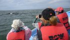 A group of tourists in a whale watching boat observing as a gray whale surfaces nearby.